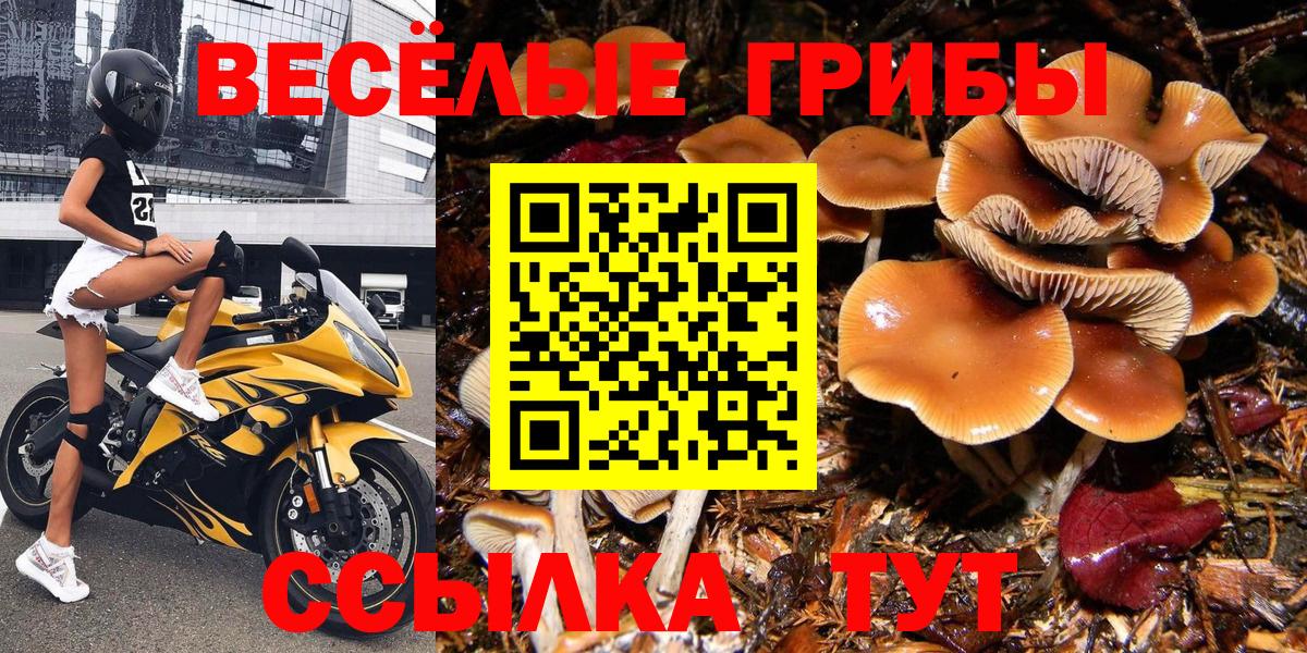 Псилоцибиновые грибы мухоморы Ейск