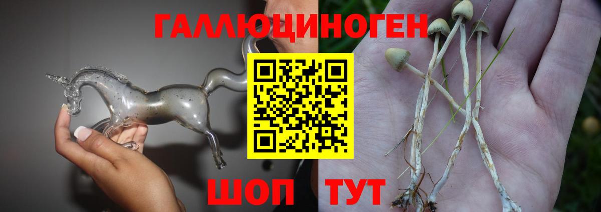 Ейск  Галлюциногенные грибы Psilocybine cubensis  Галлюциногенные грибы Psilocybine cubensis  Вход с VPN 